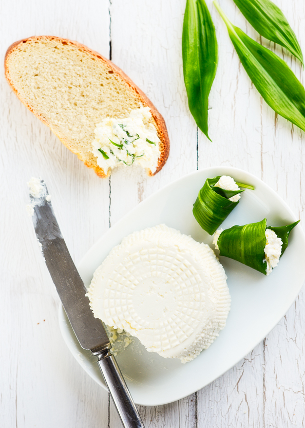 homemade cheese - things we make