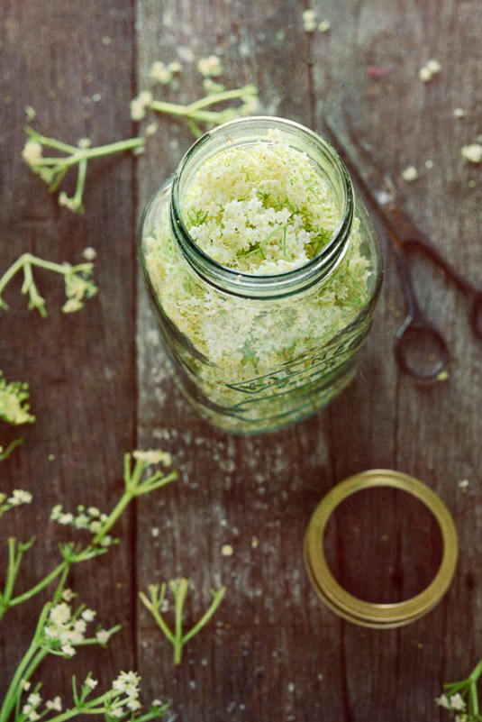 Elderflower-6597-Edit