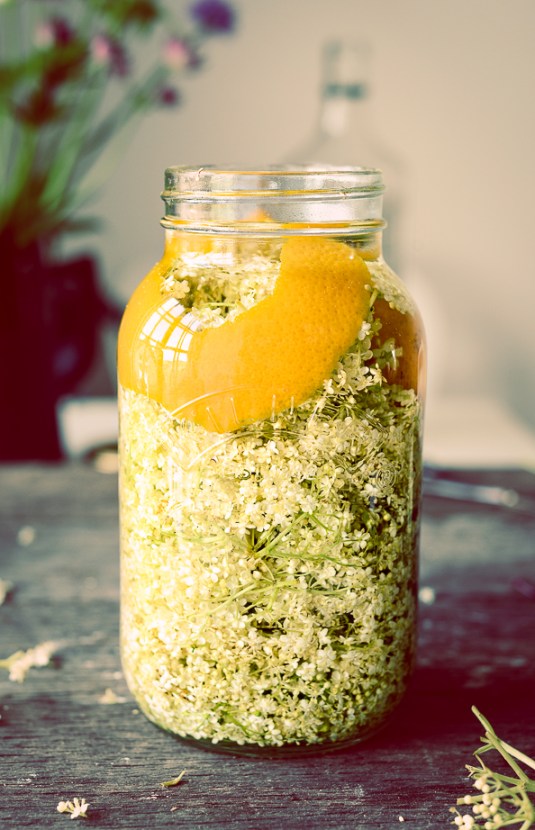 Elderflower-6609-Edit