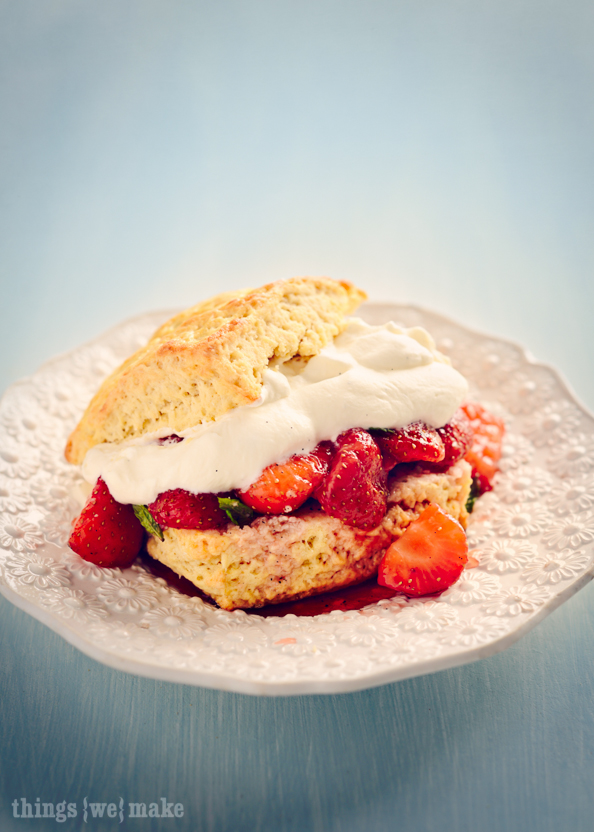 Strawberry Shortcake on things{we}make