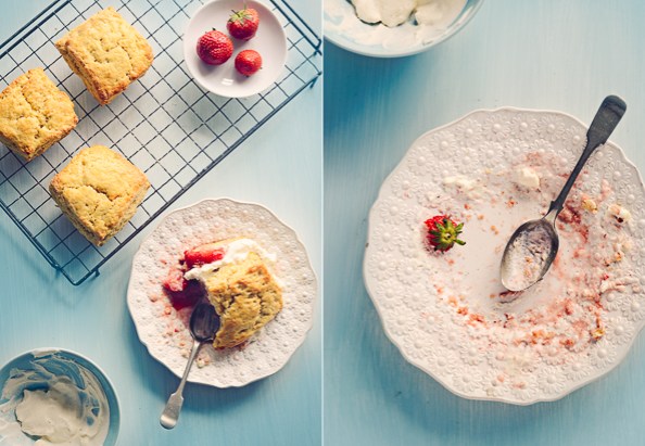 Strawberry Shortcake on thingswemake