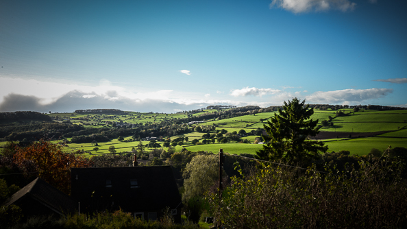 Spare Room at things{we}make