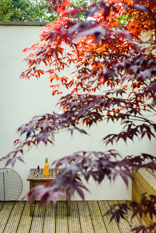 things{we}make chilli dogs