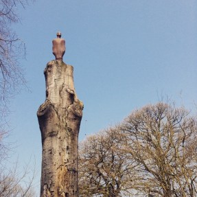 17086243542_8b2e83d000_o