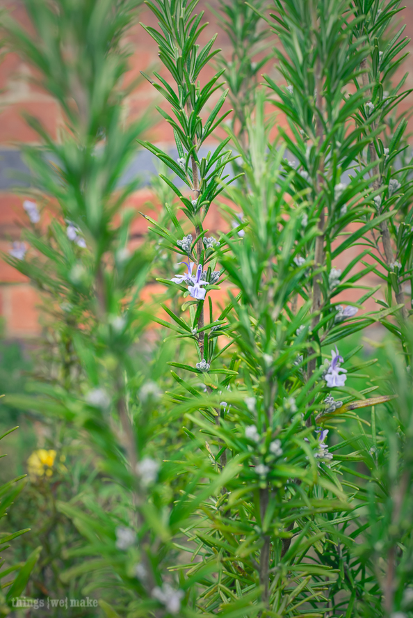 things{we}make - rosemary