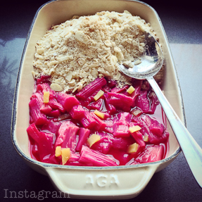 Rhubarb Ginger Lime on thingswemake